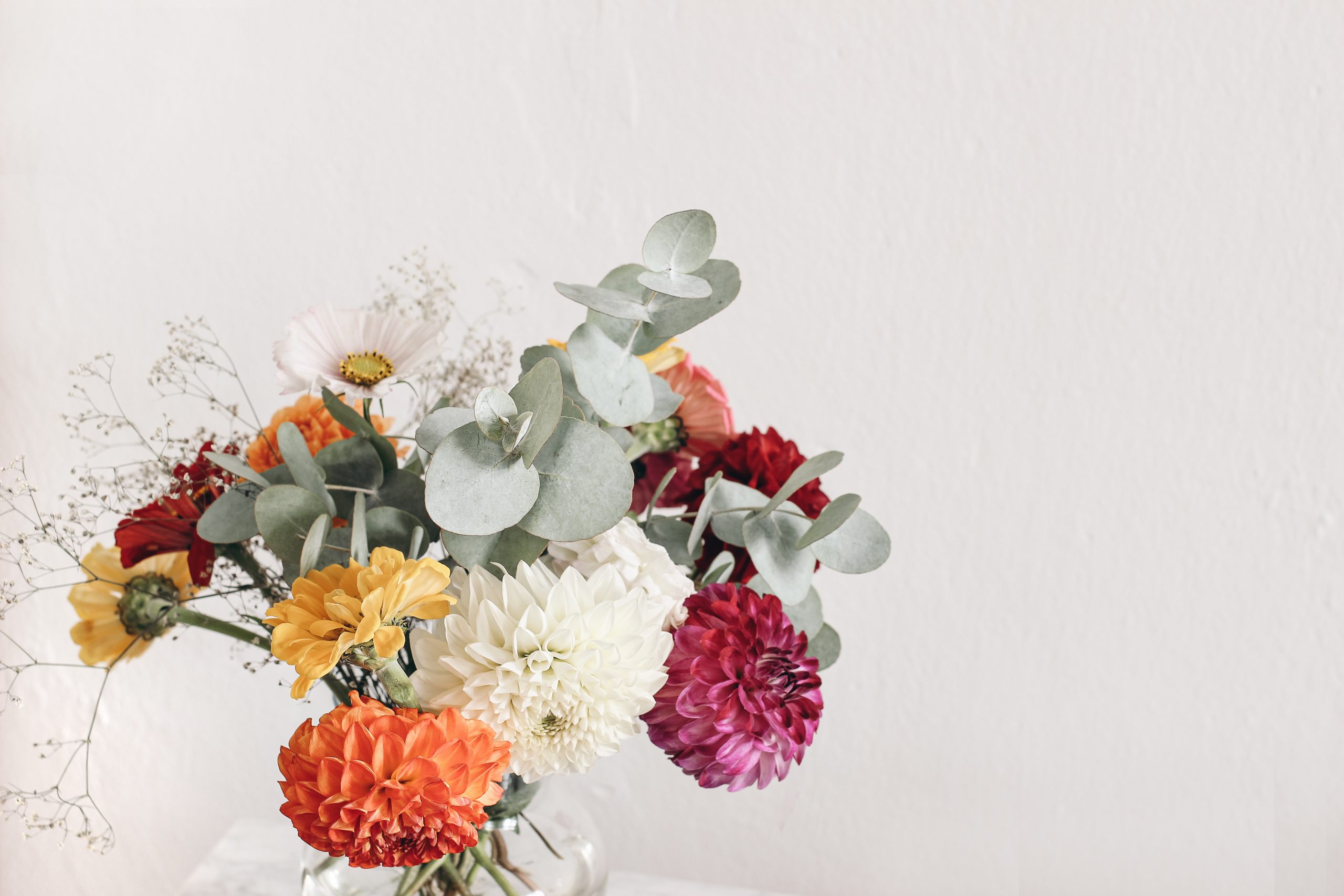 Bautiful bouquet of colorful dahlia, zinnia. Cosmos, gypsophila flowers and eucalyptus branches. Blurred old white wall background. Floral feminine wedding, birthday composition. Empty copy space Herbstfloristik